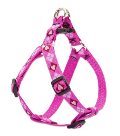 Harness