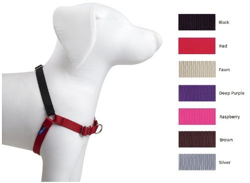 PetSafe-Easy Walk Harness-Red for Dogs