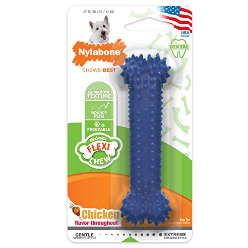 Nylabone Dental Chew Bone Dog Toy