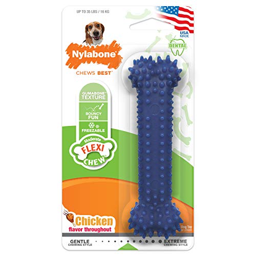 Nylabone Dental Chew Bone Dog Toy