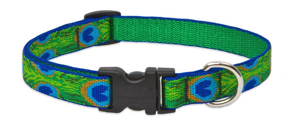Lupine Pet Original Designs Adjustable Dog Collar-Tail Feathers