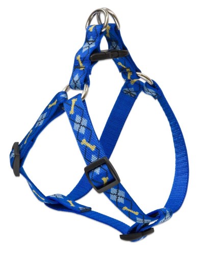 Harness