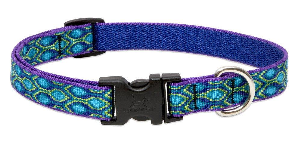 Lupine Dog Collar - Rain Song-3/4" Wide