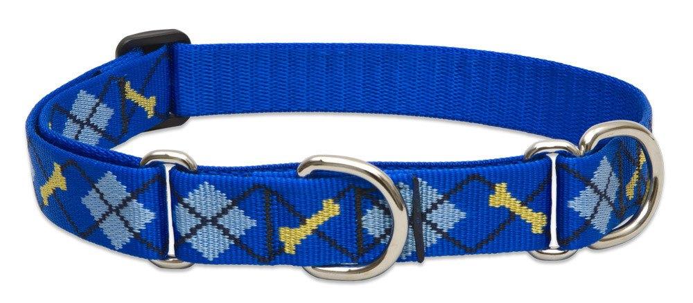Lupine Combo Collar - Dapper Dog-1" Wide