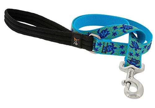 Lupine Dog Leash - Turtle Reef
