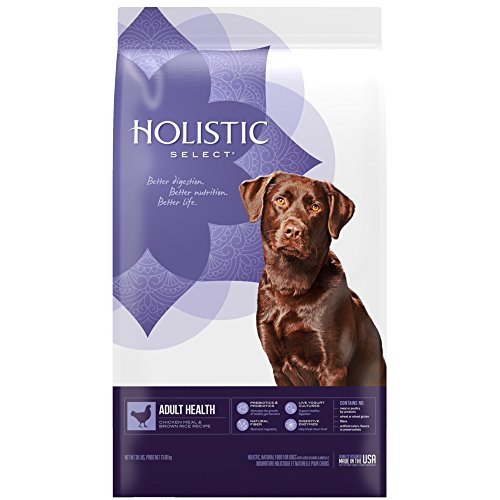 Holistic Select® Adult Health Chicken Meal & Rice Recipe Dog Food