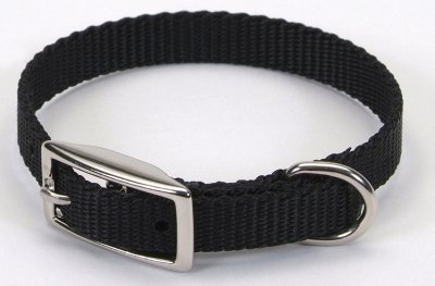 Coastal Pet Products Standard Nylon Small Dog Collar