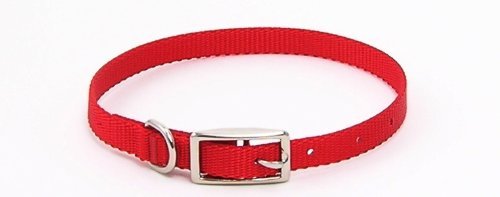 Coastal Pet Products Standard Nylon Small and Medium Dog Collar