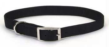 Coastal Pet Products Standard Nylon Small and Medium Dog Collar