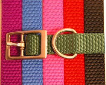 Coastal Pet Products Standard Nylon Small and Medium Dog Collar