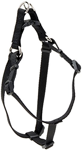 Coastal Pet Products Comfort Wrap Adjustable Dog Harness, Black