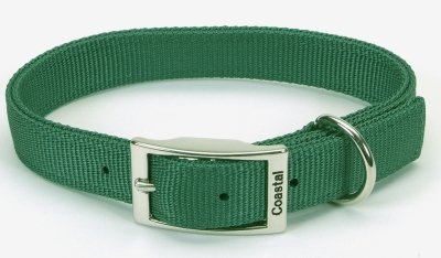 Coastal Double-Ply Dog Collar-Hunter