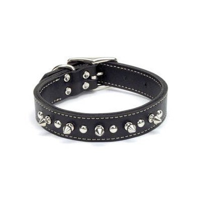 Coastal Dog Collar - Latigo Spiked