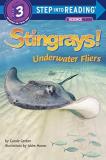 Carole Gerber Stingrays! Underwater Fliers 