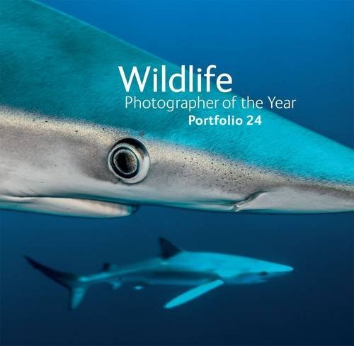 Rosamund Kidman Cox Wildlife Photographer Of The Year Portfolio 24 24 