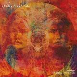 Today Is The Day Animal Mother 