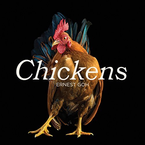 Ernest Goh Chickens 