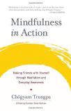 Chogyam Trungpa Mindfulness In Action Making Friends With Yourself Through Meditation A 