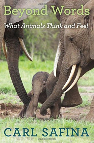 Carl Safina/Beyond Words@ What Animals Think and Feel