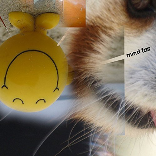 Mind Fair/Mind Fair