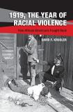 David F. Krugler 1919 The Year Of Racial Violence 