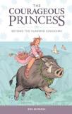Rod Espinosa Courageous Princess The Volume 1 Beyond The Hundr 