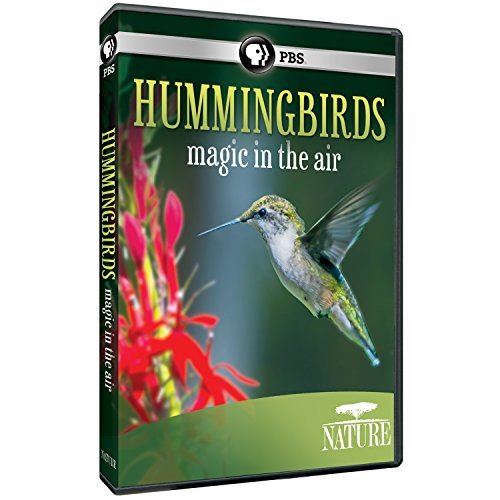 Nature/Hummingbirds@PBS
