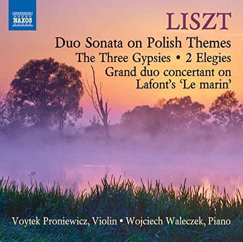 Liszt / Proniewicz / Waleczek/Music For Violin & Piano