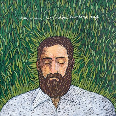 Iron & Wine/Our Endless Numbered Days