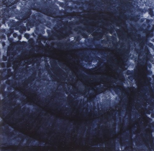 Comets On Fire/Blue Cathedral