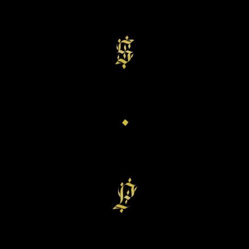 Shabazz Palaces/Black Up
