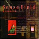 Sense Field/Building
