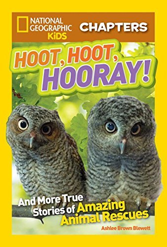Ashlee Brown Blewett/Hoot, Hoot, Hooray!