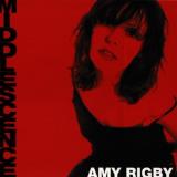 Amy Rigby Middlescence Hdcd 