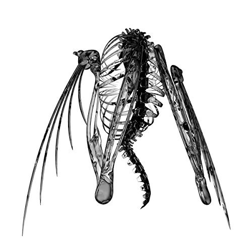 Lotic/Heterocetera