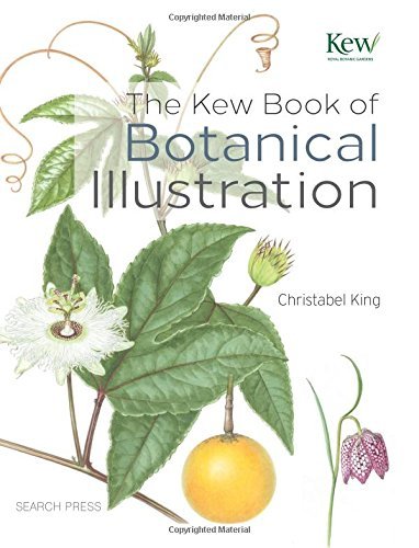 Christabel King The Kew Book Of Botanical Illustration 