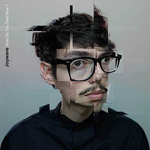 Joywave/How Do You Feel Now
