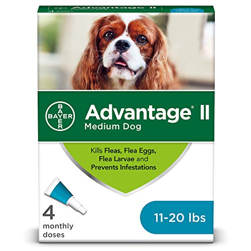 Bayer Advantage® II Topical Flea Treatment for Dogs