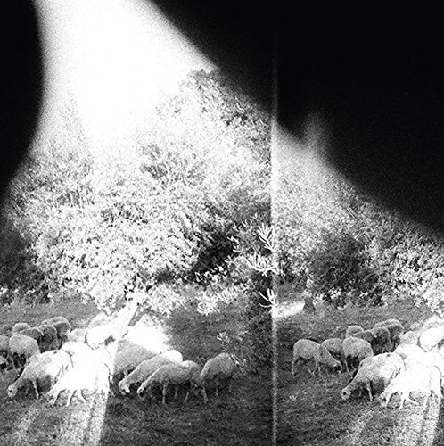 Godspeed You! Black Emperor/Asunder, Sweet And Other Distress (180 Gram Vinyl)@Explicit