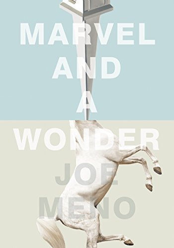 Joe Meno/Marvel and a Wonder