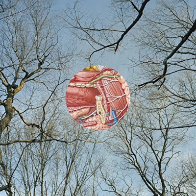 They Might Be Giants/Glean