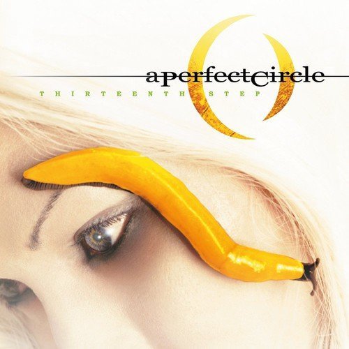 Perfect Circle/Thirteenth Step@Import-Eu@2 Lp