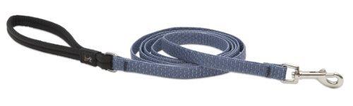Lupine Eco Recycled Dog Leash 6'-Mountain Lake