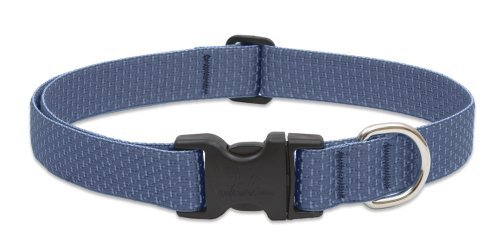 Lupine Eco Dog Collar - Mountain Lake