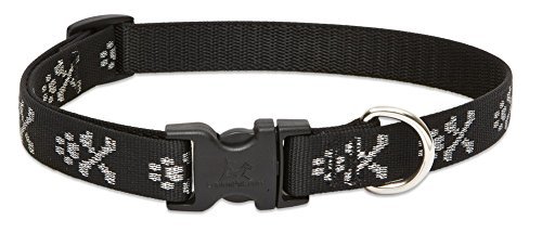 Lupine Pet Original Designs Adjustable Dog Collar-Bling Bonz