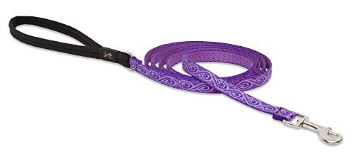 Lupine Pet Original Designs Dog Leash 6'-Jelly Roll