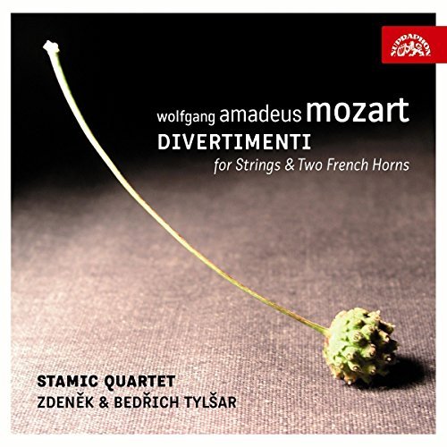 Wolfgang Amadeus Mozart/Divertimento For Strs & 2 Fren@Stamic Quartet