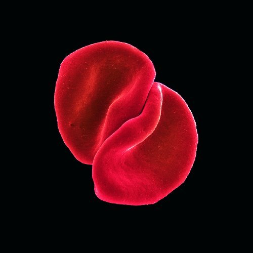 Peter Gabriel/Scratch My Back