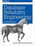 Laine Campbell Database Reliability Engineering Designing And Operating Resilient Database System 