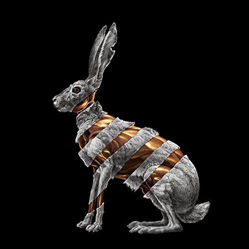 San Fermin/Jackrabbit